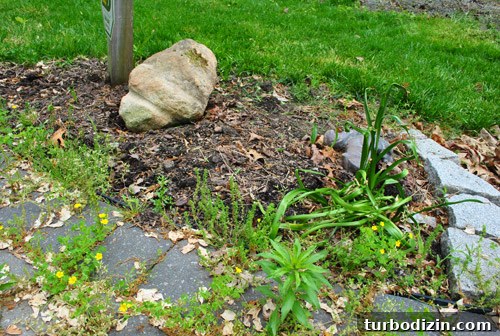 Front Yard Landscaping: Transformations & Before-and-After Ideas 4 img 47428 3