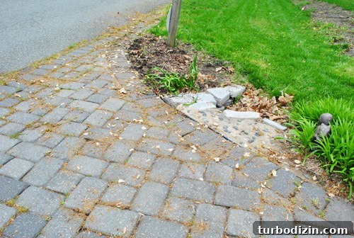Front Yard Landscaping: Transformations & Before-and-After Ideas 5 img 47428 4