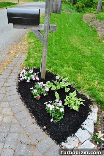 Front Yard Landscaping: Transformations & Before-and-After Ideas 8 img 47428 8