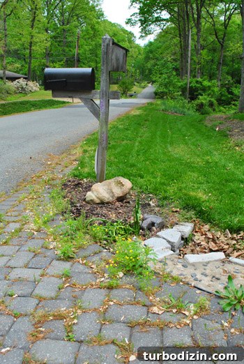 Front Yard Landscaping: Transformations & Before-and-After Ideas 9 img 47428 9