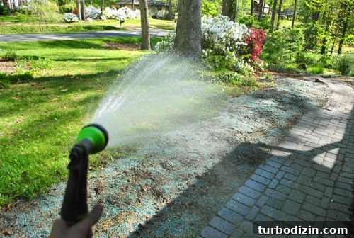 How to Seed Bare Dirt Spots to Grow a Thick Lawn 11 img 47642 10