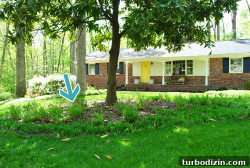 How to Seed Bare Dirt Spots to Grow a Thick Lawn 12 img 47642 11