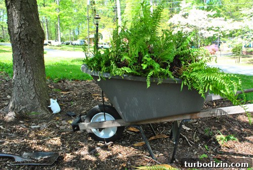 How to Seed Bare Dirt Spots to Grow a Thick Lawn 14 img 47642 13