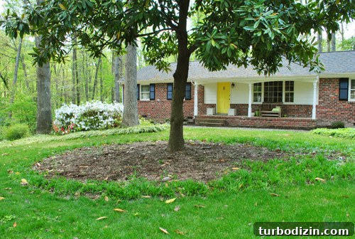 How to Seed Bare Dirt Spots to Grow a Thick Lawn 15 img 47642 14