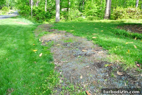 How to Seed Bare Dirt Spots to Grow a Thick Lawn 17 img 47642 16