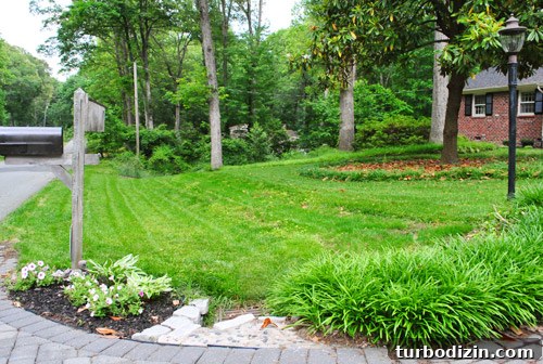 How to Seed Bare Dirt Spots to Grow a Thick Lawn 18 img 47642 17