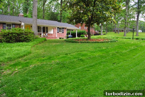 How to Seed Bare Dirt Spots to Grow a Thick Lawn 20 img 47642 19