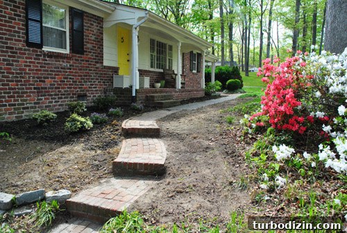 How to Seed Bare Dirt Spots to Grow a Thick Lawn 4 img 47642 3