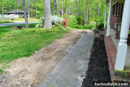 How to Seed Bare Dirt Spots to Grow a Thick Lawn 5 img 47642 4