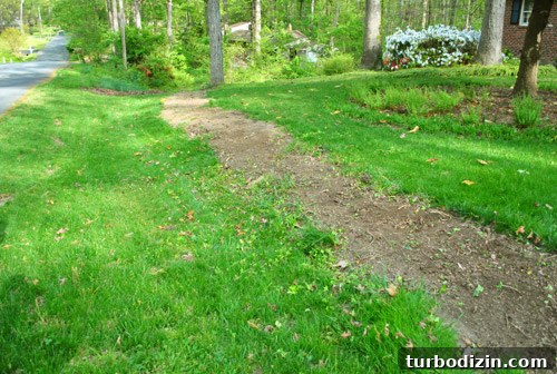 How to Seed Bare Dirt Spots to Grow a Thick Lawn 7 img 47642 6