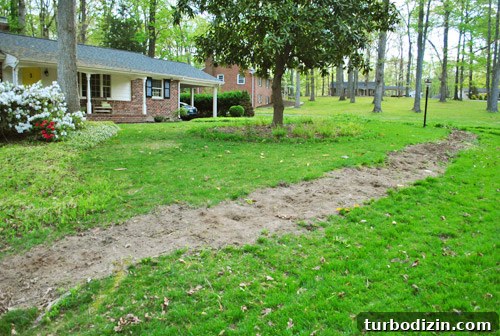 How to Seed Bare Dirt Spots to Grow a Thick Lawn 8 img 47642 7