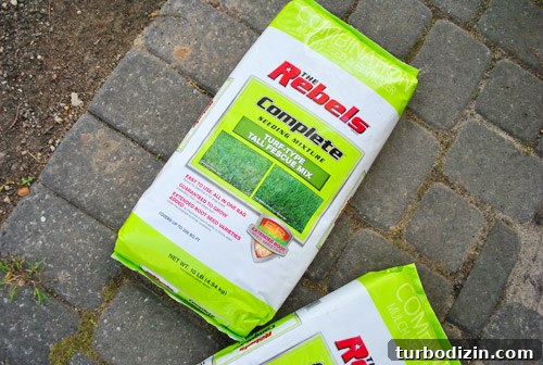 How to Seed Bare Dirt Spots to Grow a Thick Lawn 9 img 47642 8