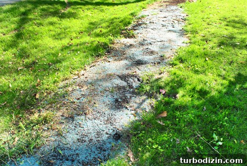 How to Seed Bare Dirt Spots to Grow a Thick Lawn 10 img 47642 9