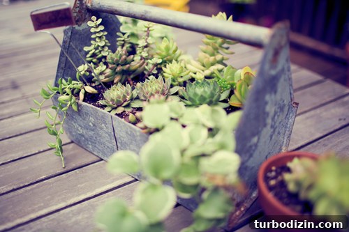 House Crash Update: Kelly’s Outdoor Escape and New Safety Fixes 11 Toolbox planter