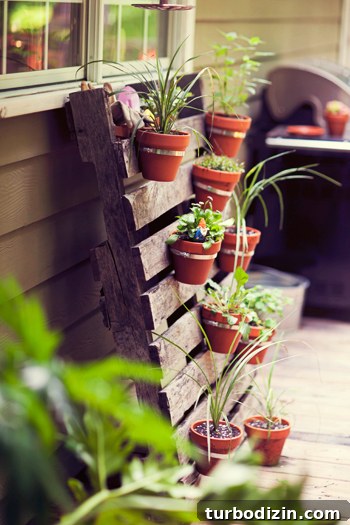 House Crash Update: Kelly’s Outdoor Escape and New Safety Fixes 8 Deck transition to seating area