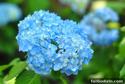 img 47777 19