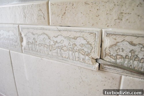 Remove an Old Shower Tile Border: Step-by-Step Guide for DIY 10 img 47879 9