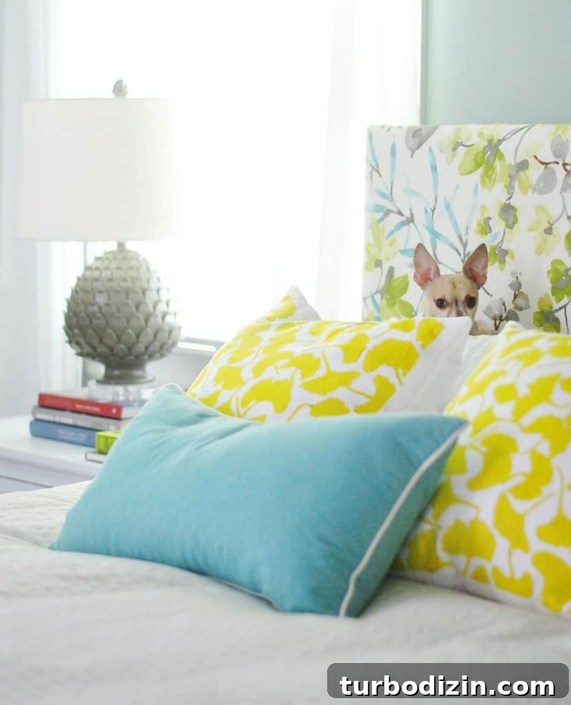 Chihuahua sitting on yellow gingko pillows against colorful upholstered DIY headboard
