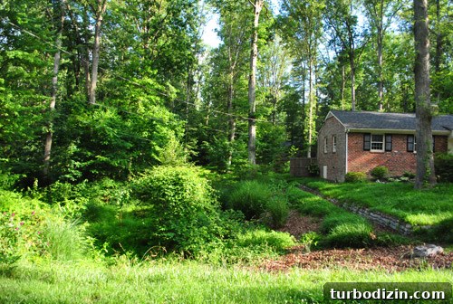 Outdoor Makeover: Complete Landscaping Tour and Updates 11 Side yard now