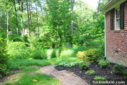 Outdoor Makeover: Complete Landscaping Tour and Updates 12 Side lot now