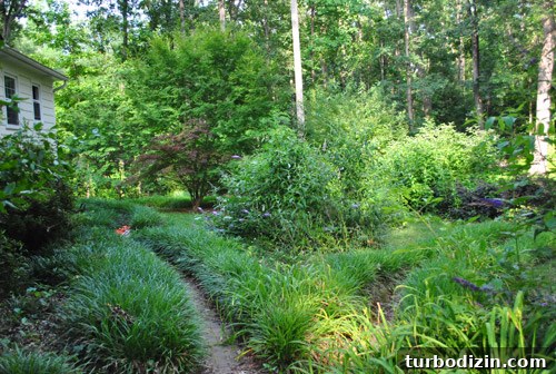 Outdoor Makeover: Complete Landscaping Tour and Updates 3 Backyard now