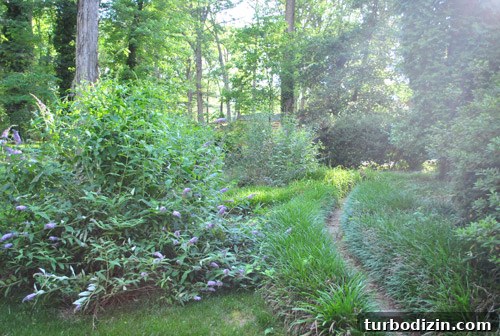 Outdoor Makeover: Complete Landscaping Tour and Updates 5 Backyard view now