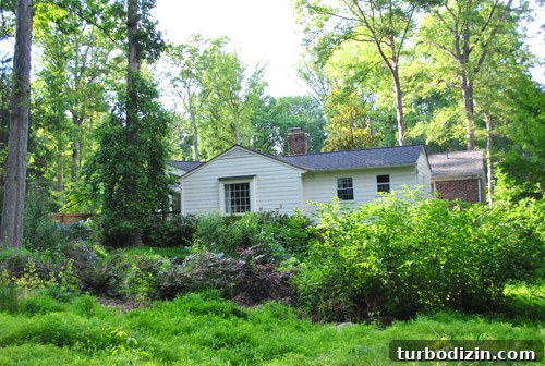 Outdoor Makeover: Complete Landscaping Tour and Updates 7 Back of house now