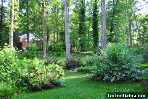 Outdoor Makeover: Complete Landscaping Tour and Updates 9 Backyard spring now