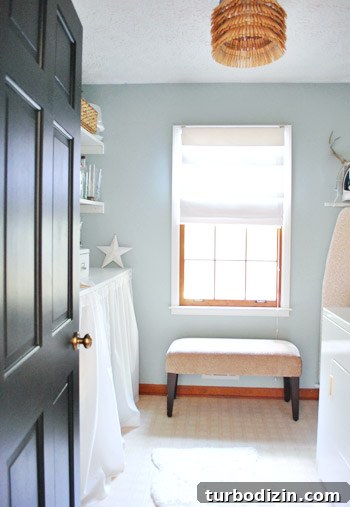 Laundry pantry