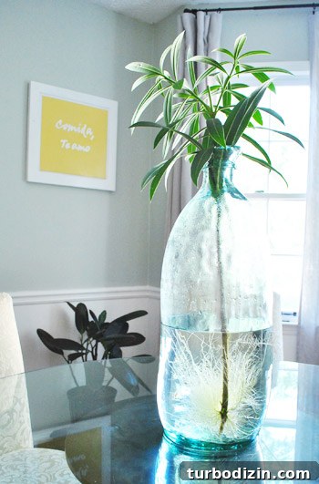 Kitchen nook