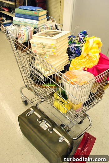 Thrift Treasures: Smiles, Surprises, and Silly Finds 2 img 48428 1