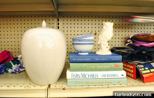 Thrift Treasures: Smiles, Surprises, and Silly Finds 3 img 48428 2