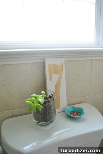 Budget Bathroom Makeover: Transforming a Bathroom for $230 11 img 48568 10