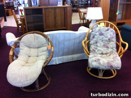 How to Buy a Thrift Store Egg Chair: Tips for Smart Finds 5 img 48581 4