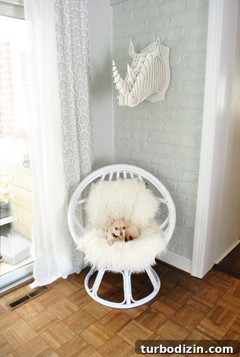 Revive an Old Egg Chair: Step-by-Step Painting Guide 8 Dog on egg chair
