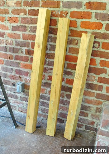 How to Build and Notch Deck Posts (Including Frog Joints) 16 img 48623 16