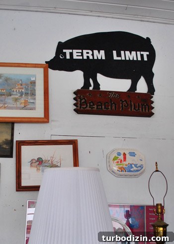 Beachfront Boutiques and Thrift Stores to Explore 17 Giant metal pig as art idea