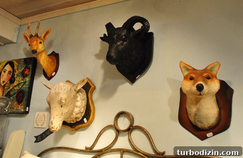 Beachfront Boutiques and Thrift Stores to Explore 27 Faux animal heads display
