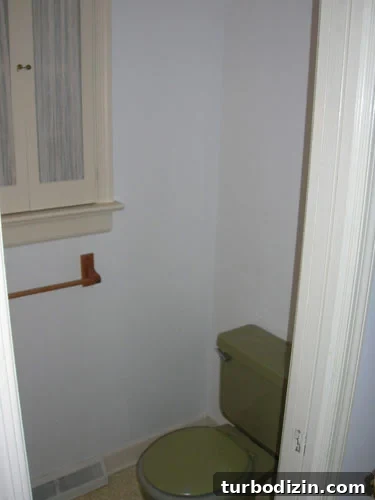 What Homebuyers Notice — and Ignore — When House Hunting 5 Dated Bathroom With Green Toilet