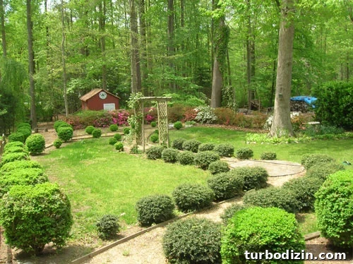 What Homebuyers Notice — and Ignore — When House Hunting 8 Before Backyard With Boxwood Path And Wood Arch And Small Shed