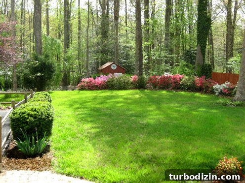 First Home vs. Current Home: One Year Later — What Changed 42 img 49747 41
