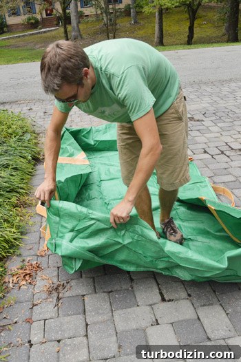 Our Experience Renting a Bagster Dumpster: Tips and Insights 6 img 50769 7