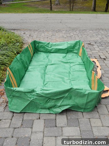 Our Experience Renting a Bagster Dumpster: Tips and Insights 7 img 50769 8