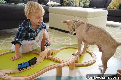 DIY Kids' Train Board: Step-by-Step Guide to Build One 13 img 50815 14