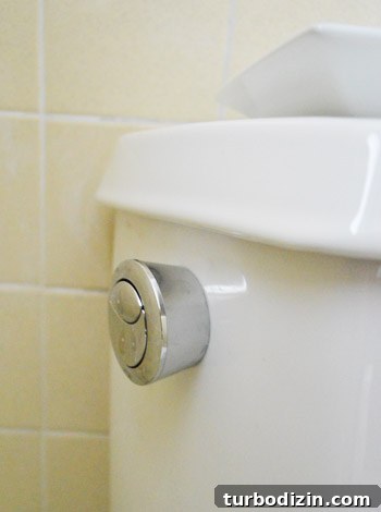 How We Installed a Dual-Flush Button on Our Toilet 4 img 51049 3