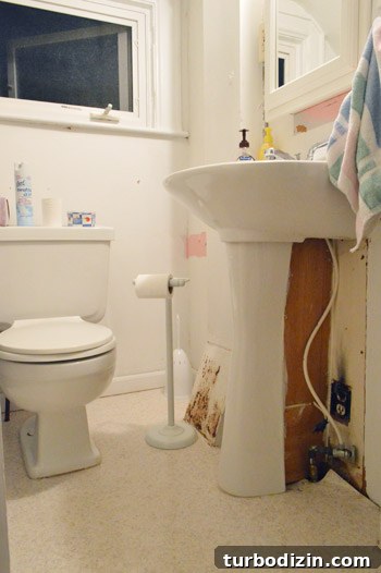 Bathroom Renovation Day 1: Transforming Granny’s Space 11 img 51160 10