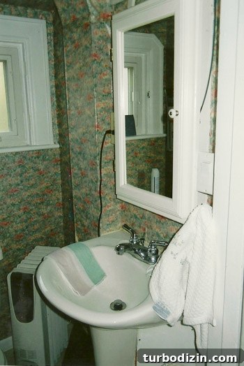Bathroom Renovation Day 1: Transforming Granny’s Space 4 img 51160 3