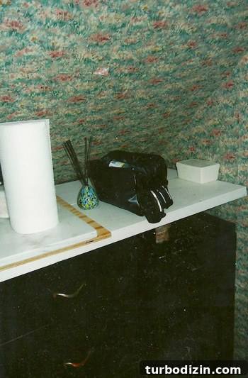 Bathroom Renovation Day 1: Transforming Granny’s Space 5 img 51160 4