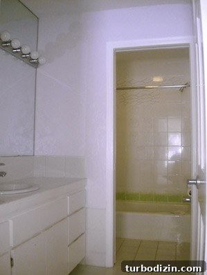 Complete Bathroom Remodel Under $2,000: Stylish Budget Upgrade 2 Before bathroom photo