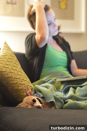 A Day in the Life of a Blogger: Behind-the-Scenes Look 22 img 51418 22
